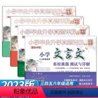 文言文+古诗词 小学升初中 [正版]2023新版小学毕业升学真题详解积累与运用+阅读与理解+文言文+古诗词 小学三四五六