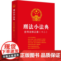 2024新书 刑法小法典 含刑法修正案 十二 中国法制出版社 9787521641035