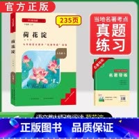 [七上选读]荷花淀(赠名著导练) 初中通用 [正版]初中必读名著骆驼祥子和钢铁是怎样练成的原著七八九年级下册上册经典常谈