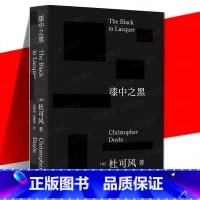 漆中之黑 [正版]YS 漆中之黑 杜可风著自传体随笔记 90篇电影笔记130幅照片与杜可风拼贴作品40年电影生涯的记录与