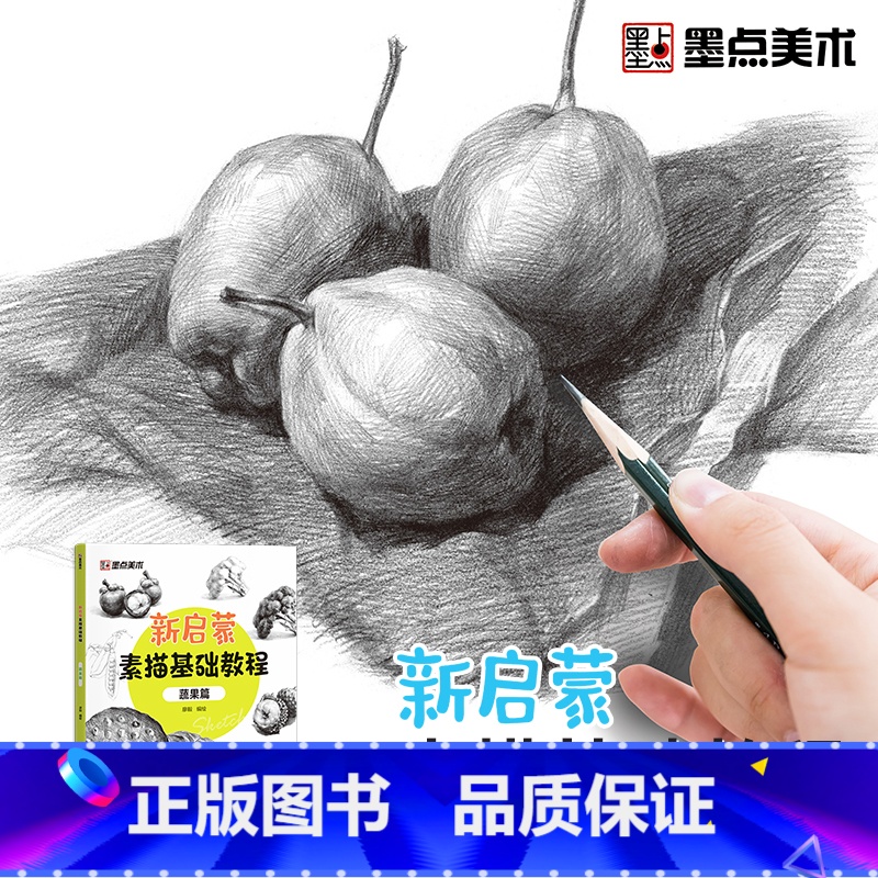 [1册]新启蒙素描基础教程·蔬果篇 [正版]墨点美术新启蒙素描基础教程蔬果素描零基础学生素描绘画入门教程书籍带视频教学单