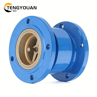 腾友安逆止阀DN80/个