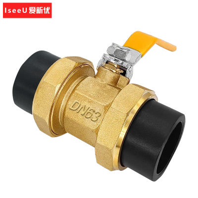 爱新优 PE双活接球阀PE-63(2寸)个