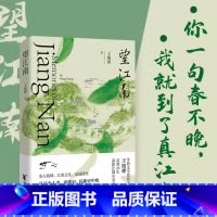 [正版]望江南 王旭烽新书茅盾文学奖得主沉潜26年长篇小说力作见证个人史家族史 民族史中的百年中国小说书籍 新视角