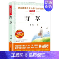 野草 [正版]野草鲁迅原著中国现代文学书籍经典必读作品选小说全集原版小学生鲁迅读本文集爱阅读系列语文课程化阅读丛书