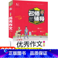 [正版]好词好句好段起步阅读素材辅导大全