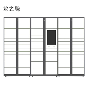龙之腾智能快递柜小区快递自提柜派件柜室外寄存柜信报箱储物柜一主两幅61格