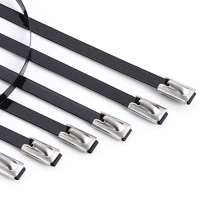 ZHE YAO DEVELOPMENT 包塑扎带 5.6*300 个