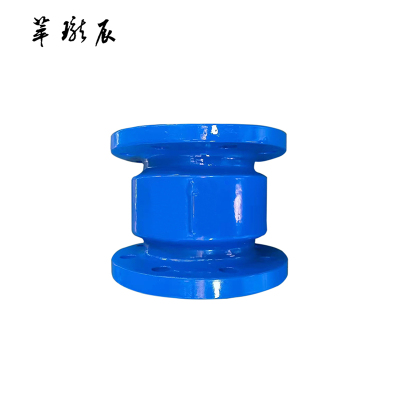 萃珑辰 HC41X消声逆止阀 DN125 个