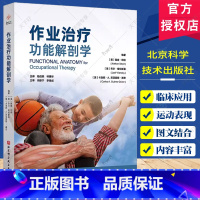 作业治疗功能解剖学 [正版]作业治疗功能解剖学 南森绍特等著 为了强调作业表现中所涉及的运动本质我们在介绍身体各关节的功