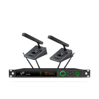 DeiYuS/无线会议话筒麦克风真分集方管一拖二/BH-2600/套