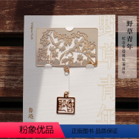小约翰金属书签 [正版]系列实付99赠礼盒后浪 鲁迅野草青年文创 小约翰/彷徨金属书签 觉醒年代创意礼物
