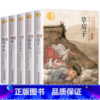 曹文轩系列全5册 [正版]全套5册 草房子 青铜葵花 曹文轩系列儿童文学 细米书小学生读物 三四五六年级读的课外书 课外