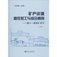 音像矿产资源高效加工与综合利用:十届选矿年评:下册孙传尧主编