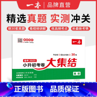 英语 小学升初中 [正版]25新小升初总复习分类试卷 小学毕业升学考卷大集结 语文数学英语小升初真题试卷小学毕业升学考试