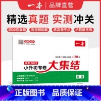 英语 小学升初中 [正版]25新小升初总复习分类试卷 小学毕业升学考卷大集结 语文数学英语小升初真题试卷小学毕业升学考试