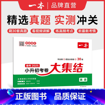 英语 小学升初中 [正版]25新小升初总复习分类试卷 小学毕业升学考卷大集结 语文数学英语小升初真题试卷小学毕业升学考试