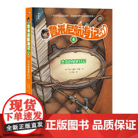 鲁米尼航海记4 杰克的秘密日记