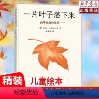 一片叶子落下来 [正版]一片叶子落下来 精装硬壳 关于生命的故事 3-6周岁幼儿园宝宝早教绘本亲子故事幼儿启蒙图画书籍心