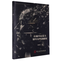 正版新书]拉赫玛尼诺夫钢琴奏鸣曲解析杨沛霖|9787569603729