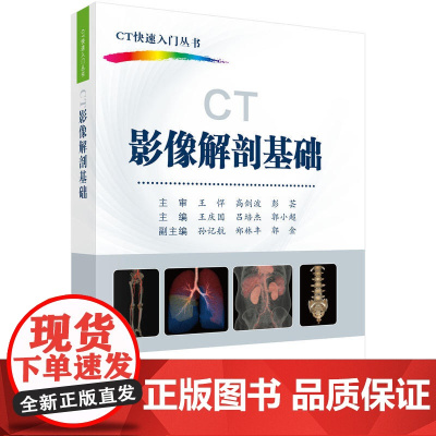 CT影像解剖基础