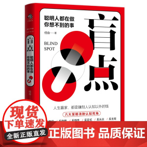 盲点:聪明人都在做你想不到的事 任白 水利水电出版社 正版书籍
