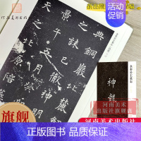 尉迟敬德墓志 [正版]旗舰永泰公主墓志铭墓志-新出隋唐碑志精编 唐代楷书小楷毛笔书法碑帖临习临摹鉴赏范本书籍河南美术出版