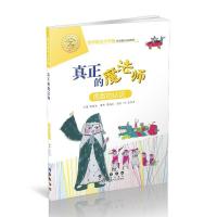 正版新书]数学绘本大升级真正的魔法师(升级版)陈燕虹9787544555