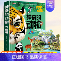 [超大开本 升级版]神奇的动物3D立体书 [正版]环游世界我们的中国立体书儿童3d立体书 揭秘系列翻翻书儿童绘本3-6-