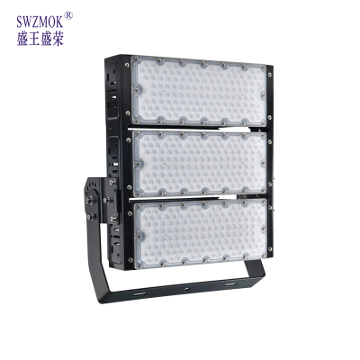 盛王盛荣 LED 投光灯