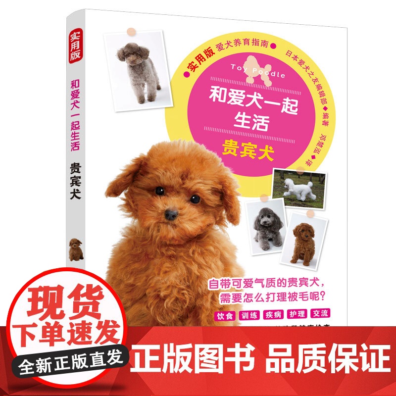 贵宾犬养护全书 泰迪犬美容训练指南 宠物行为问题矫正 家庭养狗疾病预防手册 萌宠日常护理百科 正版书籍