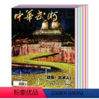 [正版] 全年缺2月共11本打包中华武术杂志2020年1/3/4/5/6/7/8/9/10/11/12月 武术指导教学