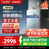 史密斯佳尼特[小精钢TCS5]16升精钢燃气热水器 国家补贴 JSQ31-TCS5 安全守护 持久恒温大水量 新品