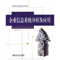 音像企业信息系统分析及应用崔松岩主编