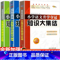 [知识大集结]语文+数学+英语-3本套 小学通用 [正版]2024小升初知识大集结小学语文数学英语升学夺冠基础重点知识大