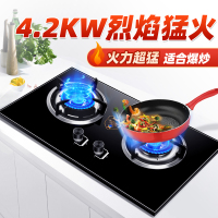 欢呼好太太燃气灶嵌入式液化气灶煤气灶家用台式双眼灶单灶具灶台炉具煤气炉节能灶X01