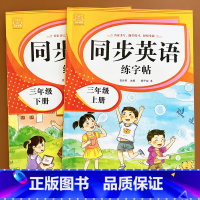 英语字帖(上册+下册) 小学三年级 [正版]三年级上册同步练字帖语文+英语 语文下册人教版PEP 硬笔书法钢笔字贴每日一