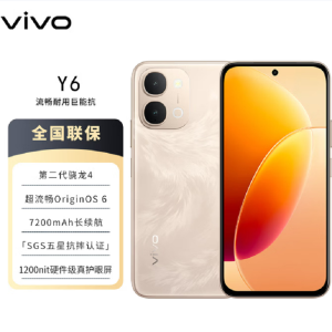 vivo Y6 凤迎金 8GB+128GB 7200mAh长续航 6年长寿大电池 SGS金标五星抗跌耐摔认证 防水防尘 1200nit硬件级真护眼屏 AI手机