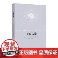 大脑节律 对神经元同步机制和功能快展相关研究的一本优秀综述 [美]哲尔吉·布扎基 著 北京大学出版社 正版书籍