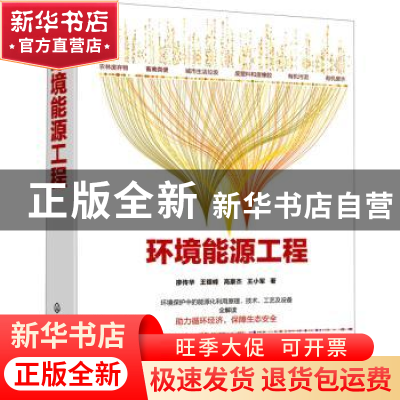 正版 环境能源工程(精) 廖传华,王银峰,高豪杰 等 化学工业出版社