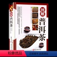 [正版]铜版纸精装 图解普洱茶茶文化书茶艺大全书籍书 识茶品茶泡茶图典中国茶道文化书籍 普洱茶书籍书籍书 茶文化百科图