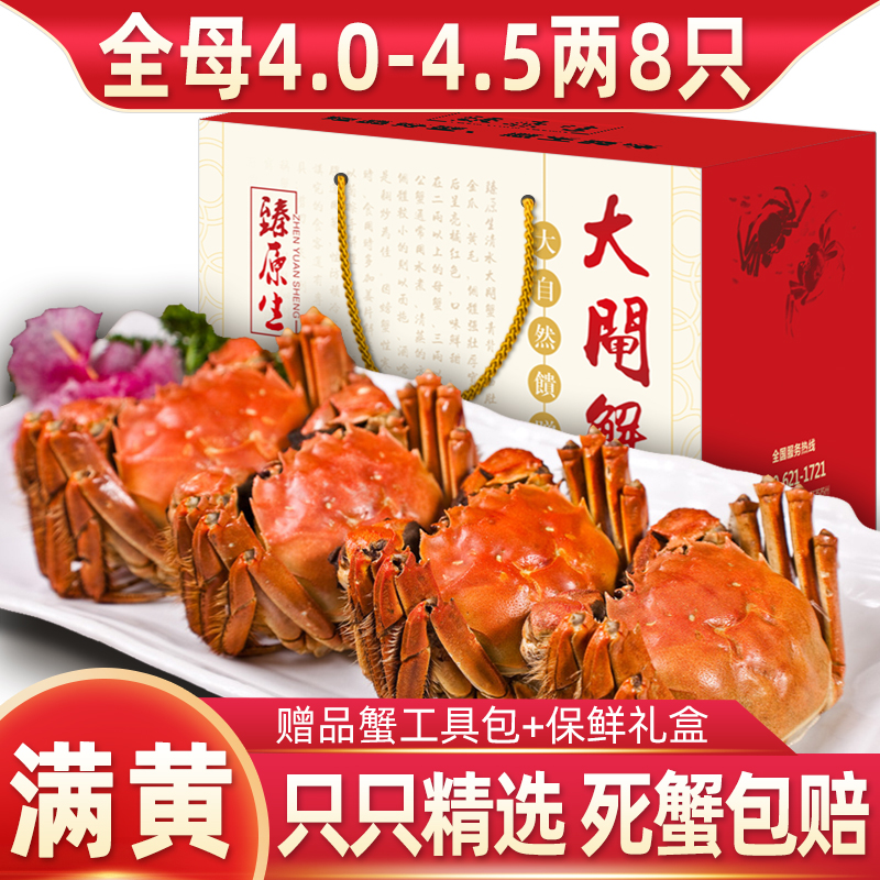 5两8只]臻原生大闸蟹鲜活螃蟹特大河蟹阳澄湖镇海鲜水产生鲜蟹类批发