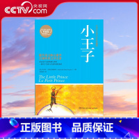小王子 [正版]央视网小王子 安东尼 圣埃克苏佩里 湖南文艺出版社 9787540449643 TJ