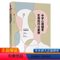 [正版]中学心理辅导实用技巧与案例 教育心理学 教育类书籍教师用书 班主任典型心理辅导案例 中小学生教育理论基础综合知