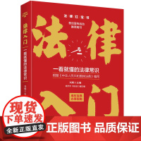 法律入门:一看就懂的法律常识(根据《中华人民共和国民法典》编写) 刘辉 台海出版社 正版书籍