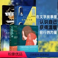 [正版]文学套装5册 夜莺+消失的另一半+点亮星星的人+曼城日与夜+六日惊奇