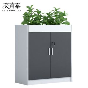 芙首泰矮柜两门800*300*800mm台