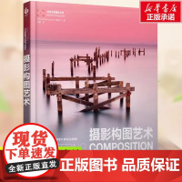 摄影构图艺术 摄影构图与色彩设计基础教程近200幅绝美摄影名作剖析数码单反摄影构图技法教程书籍从入门到精通新手学技巧书籍
