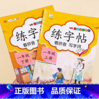 [1年级上+下册]语文同步练字帖 [正版]一年级二年级练字帖小学生三年级四五六年级字帖上册下册每日一练人教版小学练字本语