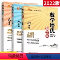 789年级.数学全套3册装.(培优新方法) 八年级/初中二年级 [正版]数学物理培优竞赛新方法八年级 初中数学物理培优新